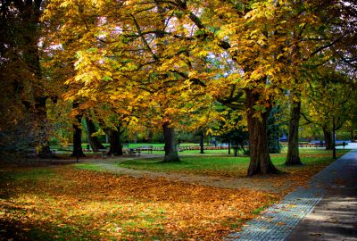 Herbst in Swinemünde auf der Insel Usedom? Warum nicht!
