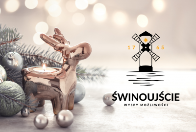 Zdrowych i Wesołych Świąt Bożego Narodzenia !