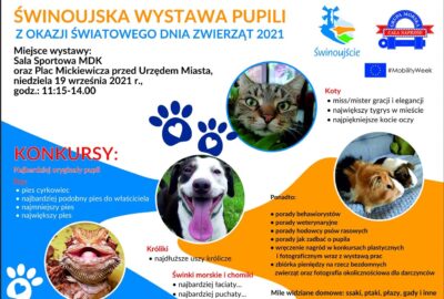 Świnoujska Wystawa Pupili - niedziela 19 września 2021