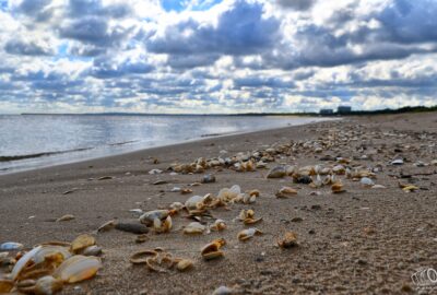 Program imprez - luty 2024