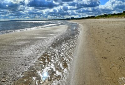 PROGRAM IMPREZ NA MARZEC