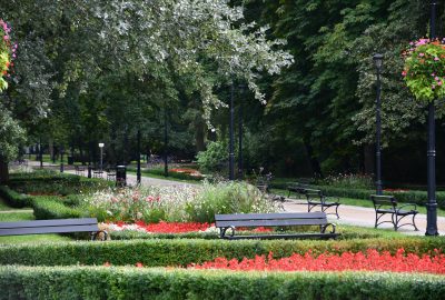 Świnoujście zielonym miastem